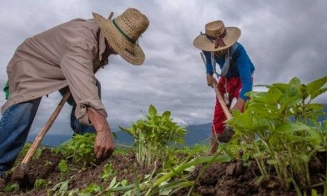 Một vùng đất ở Cuba đang 