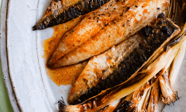 Kỳ lạ loại cá nhiều chất béo nhưng lại giúp giảm mỡ máu: Tiến sĩ Mỹ khen ngợi hết lời, Việt Nam có nhiều