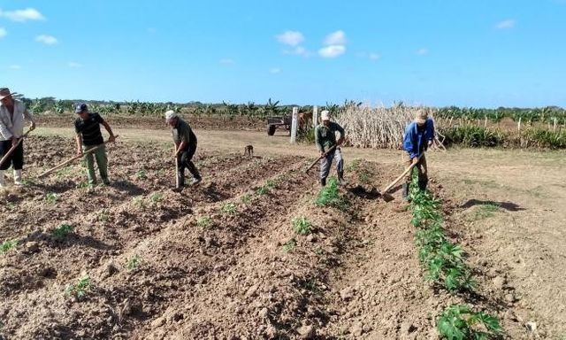 Thiếu từ xăng đến phân bón, Cuba 