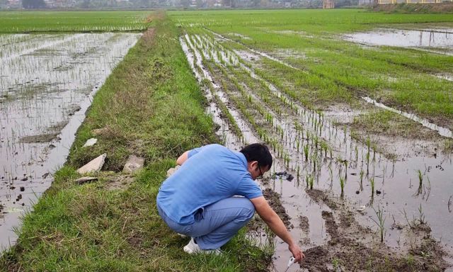 Nghiên cứu của các nhà khoa học Việt Nam: Có thể thay đổi nền nông nghiệp ven biển