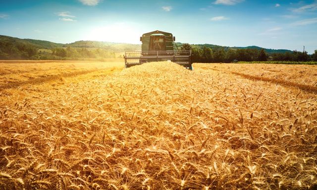 Nga phát minh đột phá trong lĩnh vực giảm phát thải nông nghiệp, củng cố vị thế 