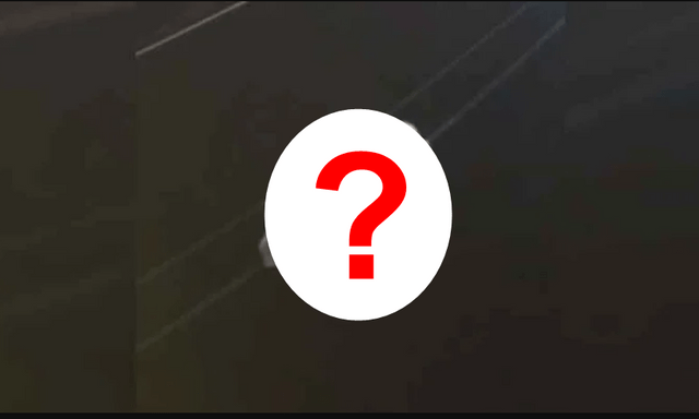 Sinh vật mắt to lặng lẽ đu dây điện giữa đêm, chuyên gia xác nhận: Loài quý hiếm được bảo vệ nghiêm ngặt