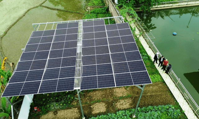 Bỏ tiền lắp thứ này trong vườn nhà, người đàn ông Lào Cai giảm 90% hóa đơn điện