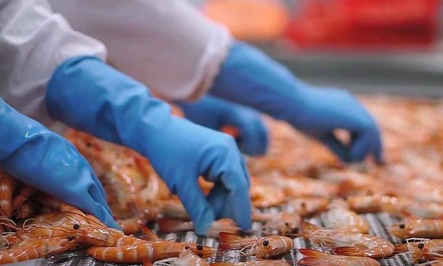 Việt Nam làm chủ công nghệ có thể gia tăng sức mạnh cho ngành xuất khẩu tỷ USD