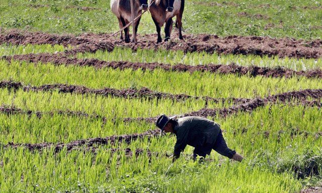 Một tỉnh ở Cuba làm điều 