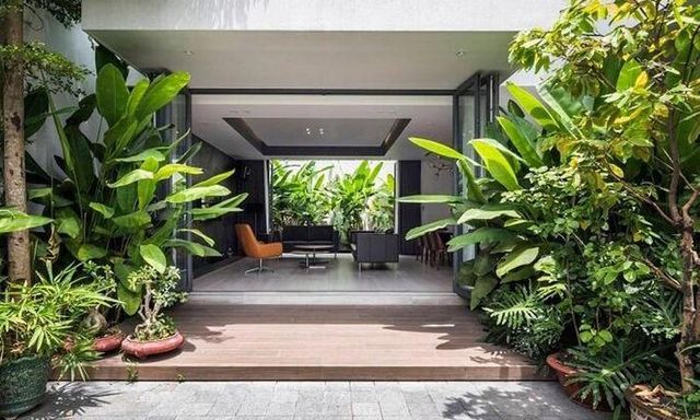 3 loại cây chớ nên đặt trước cửa