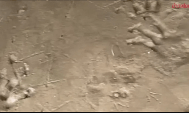 Bờ sông xuất hiện hàng loạt dấu chân lạ, chuyên gia vừa nhìn liền phác họa: 