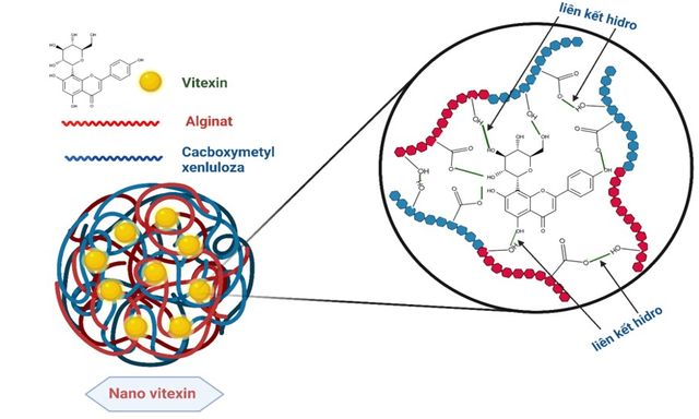 Độc quyền sáng chế: Việt Nam tạo đột phá nguyên liệu Nano công nghệ cao từ... vỏ đậu xanh