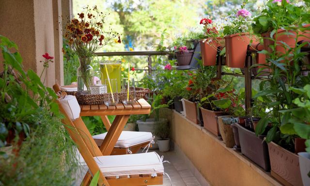 5 điều nhất định phải tránh khi trồng cây ở ban công