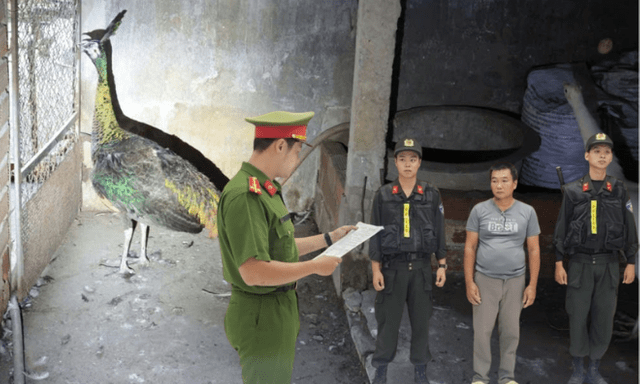 Thi hành lệnh bắt tạm giam người nuôi công Nguyễn Thế Cường SN 1977