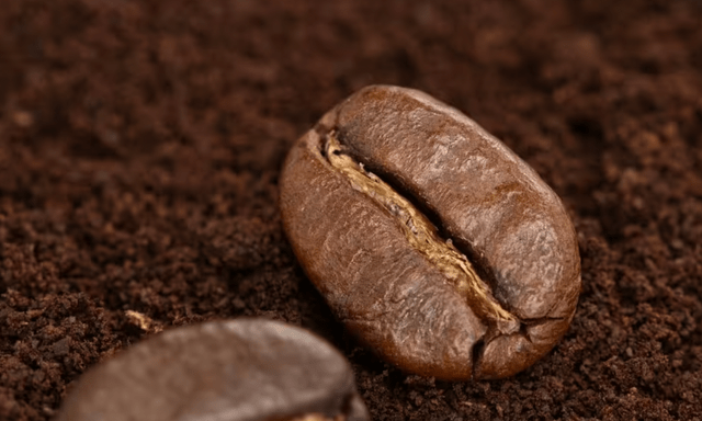 Rắc một nắm bã cà phê quanh gốc cây, điều xảy ra sau đó khiến nhiều người thích thú