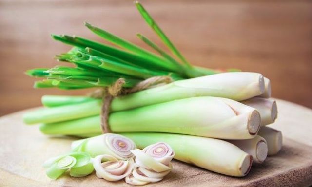 Vì sao người xưa thích trồng cây sả quanh nhà?