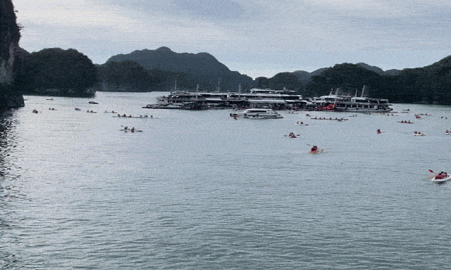 Cảnh tượng ở vịnh Lan Hạ, Cát Bà khiến nhiều người bất ngờ, thốt lên: Không tin vào mắt mình