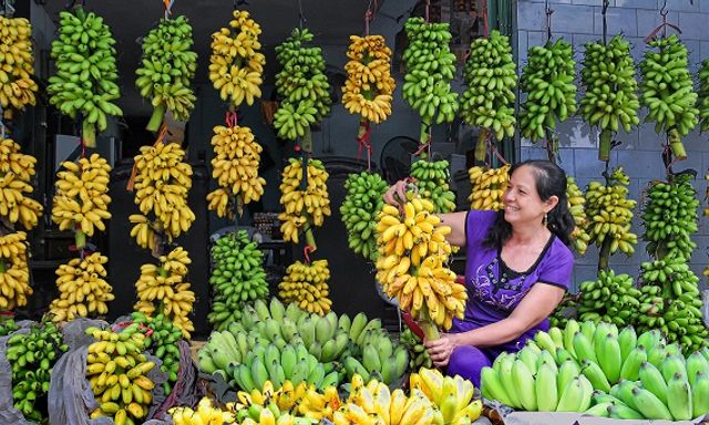 Loại quả ngon nhất thế giới của Việt Nam: Chỉ có ở Ninh Bình, vào mùa là hết sạch, phải đặt trước mới có