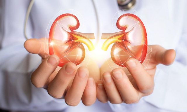 Người có hai quả thận khỏe thường có 8 thói quen này: Làm đủ thì xin chúc mừng!