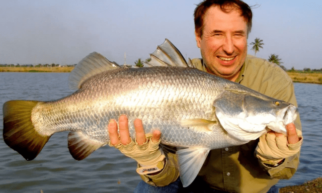 Loại cá nhiều Omega-3 không kém cá hồi đưa Việt chinh phục những hệ thống siêu thị lớn của Mỹ, Đức