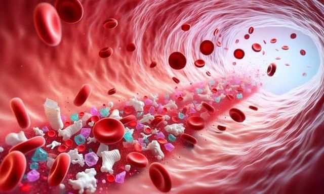 84% bệnh nhân nhồi máu cơ tim có vi nhựa trong máu, nghiên cứu mới hé lộ mối liên hệ đáng lo