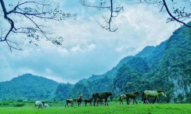 Không phải Sa Pa, đây là nơi được ví như 