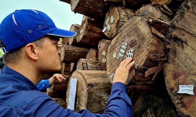Mặt hàng 17,2 tỷ USD của Việt Nam: Trung Quốc vượt Nhật Bản, vươn lên vị trí khách hàng số 2