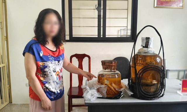 Lệnh bắt khẩn cấp người phụ nữ 55 tuổi mua bình rượu rắn hổ mang chúa