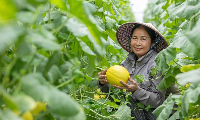 Visa hỗ trợ hơn 27.000 doanh nghiệp do phụ nữ làm chủ chuyển đổi số