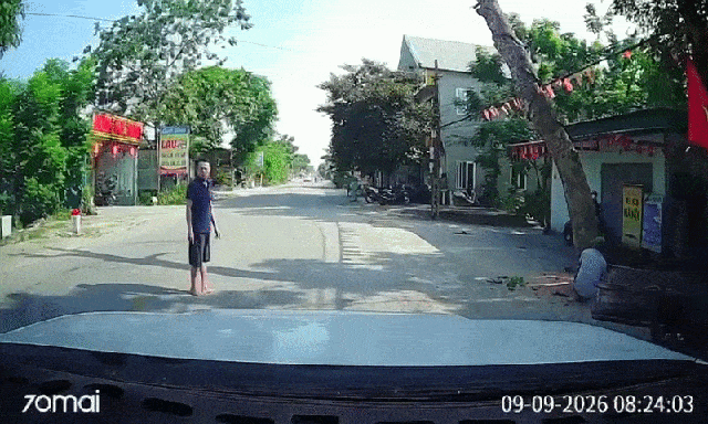 Vụ cưa cây đổ ra đường, đè người đi xe máy tử vong: Công an triệu tập chủ nhà và người cưa cây thuê