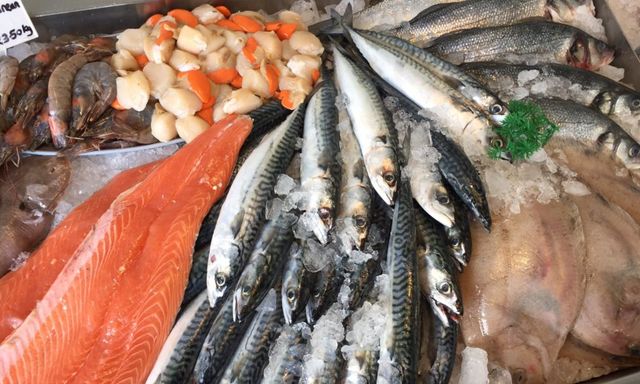 7 điều bạn cần biết trước khi mua cá