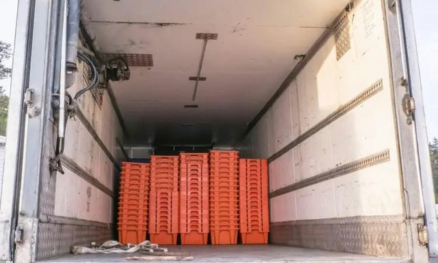 Vụ phát hiện 8 thi thể trong container đông lạnh ở Trung Quốc: Nguyên nhân cuối cùng được công bố 