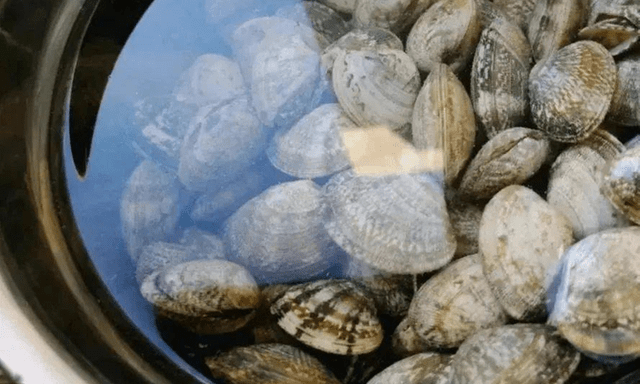 Rửa ngao ốc, người cho ớt, người cho rượu: Tất cả đều sai, người bán hải sản đã dạy tôi mẹo thực sự hiệu quả này