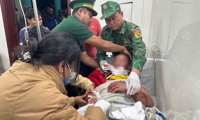 Bị gấu tấn công trên đường đi làm về nhà, người đàn ông ở Đà Nẵng trọng thương