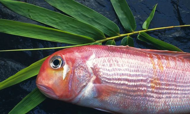 10 loại cá thấm đẫm thủy ngân hàng top: Thủ phạm 