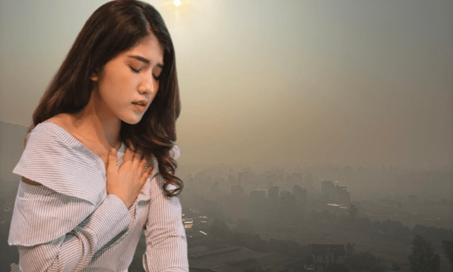 Ở Hà Nội dạo này lạ lắm: 