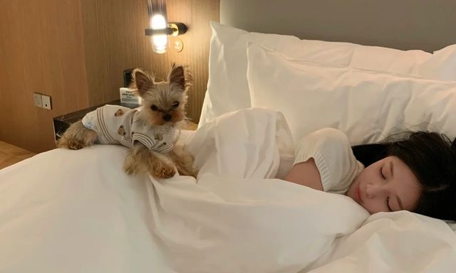 Điều bạn làm trên giường mỗi đêm hé lộ nhiều sự thật về chính con người bạn