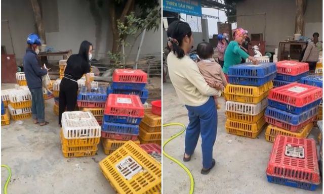 Người đàn ông Hà Nội đi mua 600 con vịt về phát cho người lạ mừng 