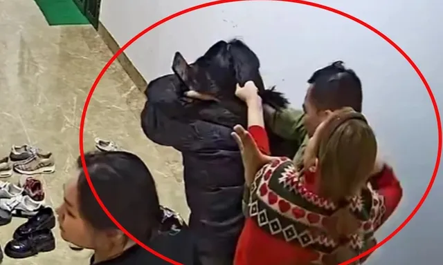 Pháp lý vụ người phụ nữ bị hành hung tại chung cư ở Hà Nội