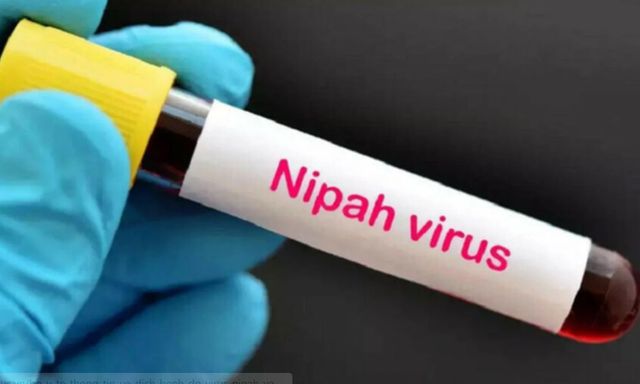 Bác sĩ Bệnh viện Chợ Rẫy chỉ ra 3 con đường lây truyền virus Nipah, nhắc mọi người hiểu đúng để cảnh giác “không hoang mang”