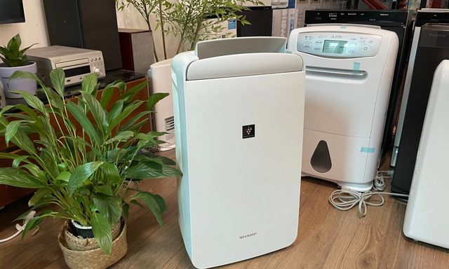 Món đồ hot nhất lúc này, đại lý nhập gấp 10 lần vẫn không kịp bán 