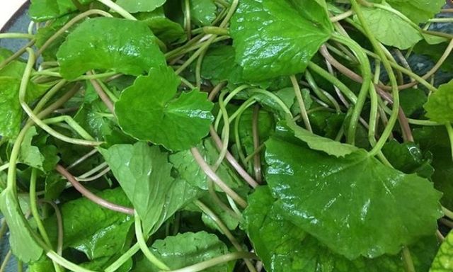 Nước rau má có tác dụng gì?