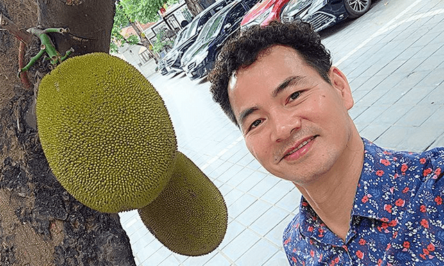 Cây mít nổi tiếng nhất Việt Nam khiến Cục trưởng Xuân Bắc phải đi làm cả cuối tuần để... canh chừng!