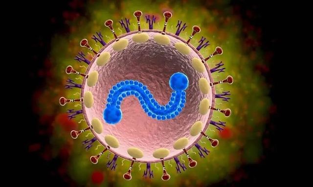 Bác sĩ Bạch Mai cảnh báo: 1 loại virus nhiều người tưởng chỉ trẻ em mới mắc, người già nhiễm dễ viêm phổi, suy hô hấp