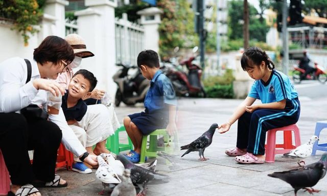 Ở giữa lòng TP.HCM có một đàn bồ câu được người dân “thương” lắm, sáng sáng lại ríu rít xuống phố!