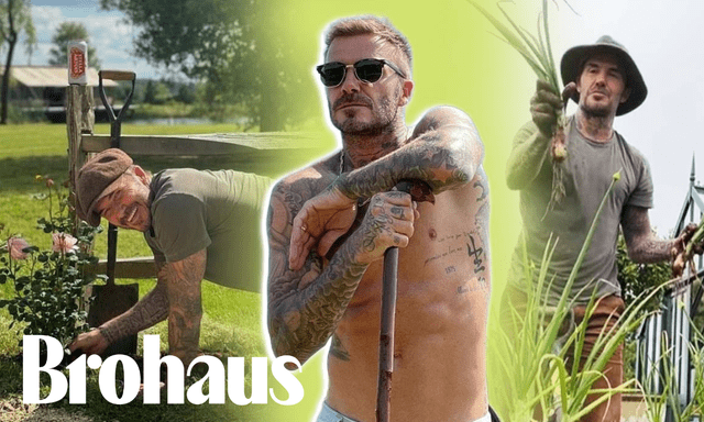 Beckham về quê làm vườn 