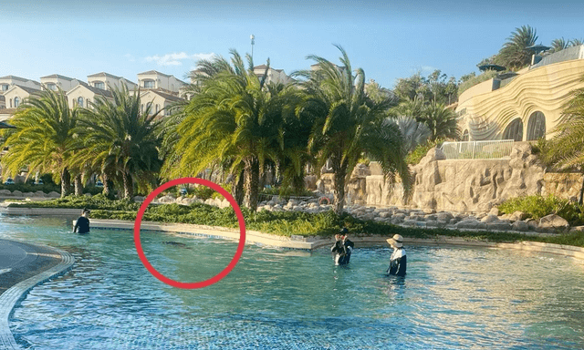 Vụ bé 11 tuổi người Nhật tử vong ở hồ bơi tại resort: Khởi tố bị can Nguyễn Quốc Quân SN 1961