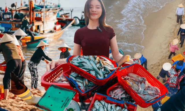 Việt Nam có một làng biển từng làm hơn 50.000 lít nước mắm mỗi năm, có thời chở bằng ghe ra Hà Nội vào Nam đổi lấy vật liệu xây dựng