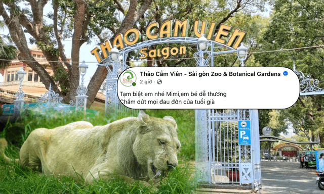 Thảo Cầm Viên thông báo về một thành viên nổi tiếng đã gắn bó 16 năm