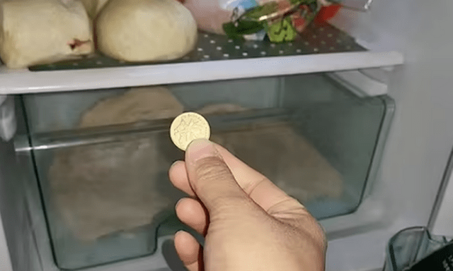 Người thông minh bỏ 1 đồng xu vào tủ lạnh trước khi vắng nhà dài ngày: Lý do nghe xong ai cũng phải gật gù đồng ý