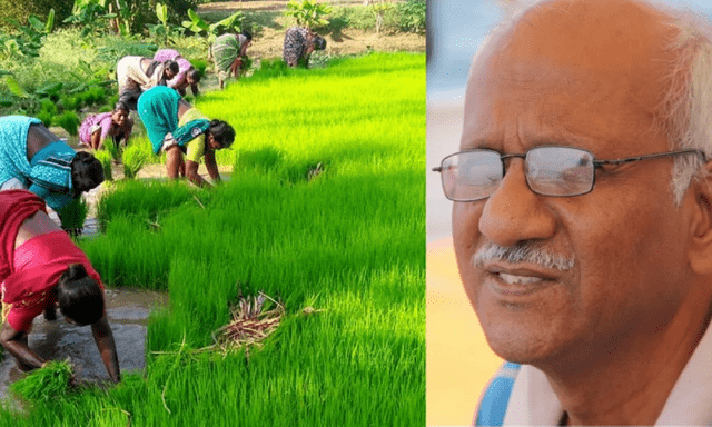 Cựu nhân viên ngân hàng bán nhà lấy 1,1 tỷ đồng mua mảnh đất hơn 12.000m2 làm trang trại để nghỉ hưu: “Chỉ kiếm được hơn 176 triệu/năm nhưng tôi rất vui”