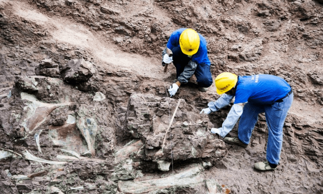 Một khu vực ở Trung Quốc phát hiện hơn 700 sinh vật có thể viết lại lịch sử sự sống Trái Đất: Chuyện gì đang xảy ra?