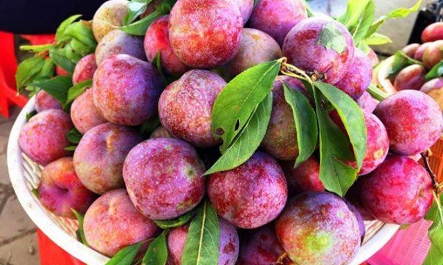 Loại quả chua ngọt đang chín rộ: Người than 