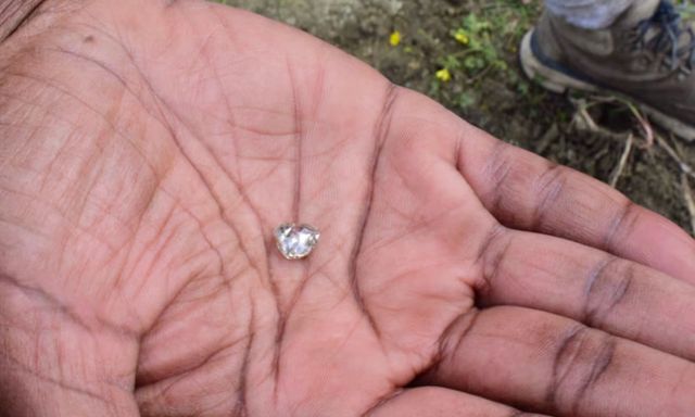 Nhặt được “viên đá lạ” trong công viên, người phụ nữ sốc khi biết đó là báu vật hàng nghìn người cùng tìm kiếm